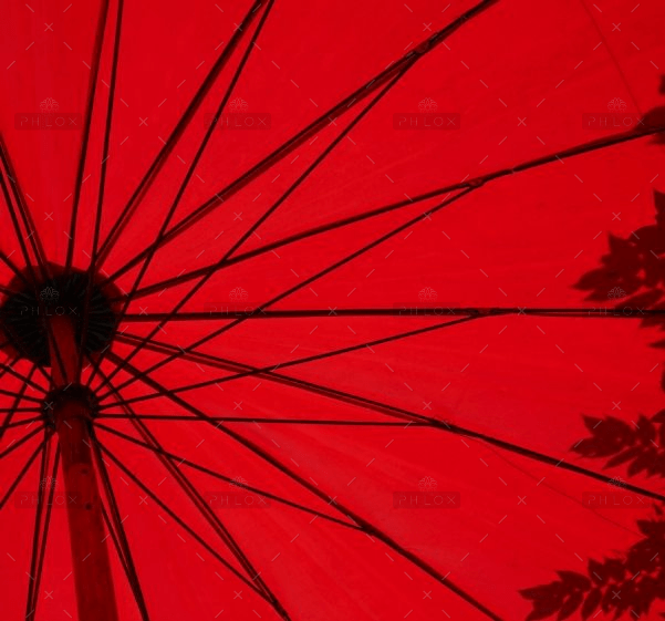 Golden Umbrella loic furhoff YERwza88a0o